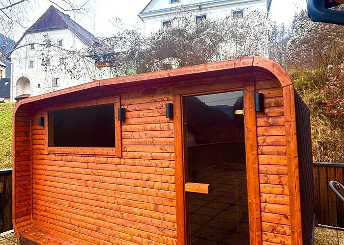 بيت شباب Freelife *