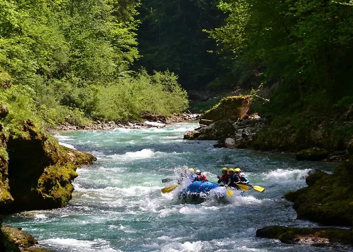 Freelife Grossreifling